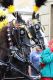 ivrea_carnevale_2011_2824529.jpg